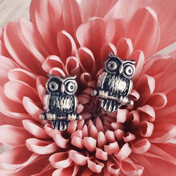 Jewelry - 🎉HP🎉 Silver Owl Studs